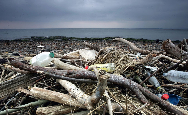Plastica che dal mare si riversa sulle coste