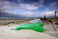 Un’isola di plastica anche nel mar Tirreno