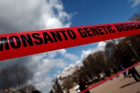 Mega-mergers between multinationals like Bayer and Monsanto threaten citizens’ rights