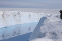 Un iceberg gigantesco si stacca in Groenlandia. Il video in presa diretta