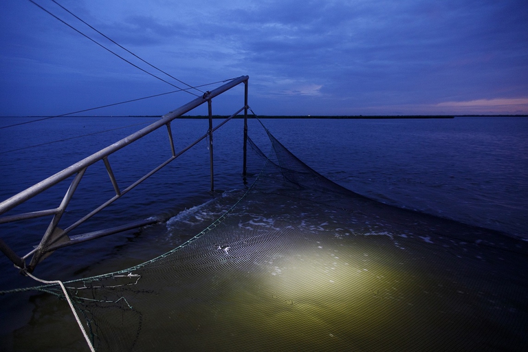 Peschereccio in azione di notte