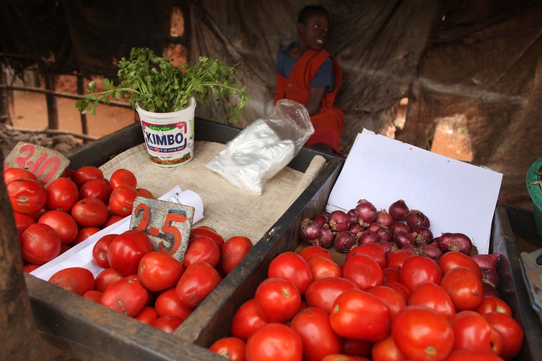 NGO Gives Out Cash Grants to Urban Poor