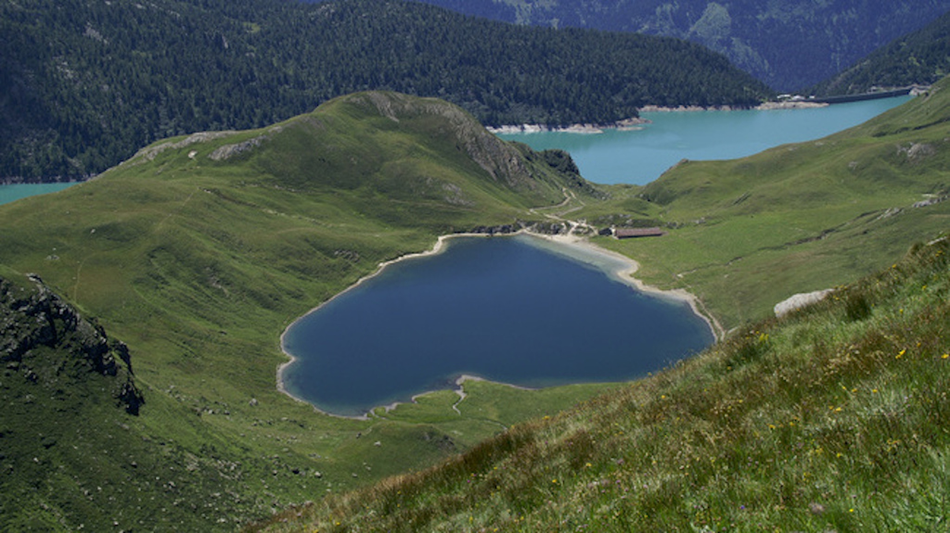 resized_650x365_origimage_597533