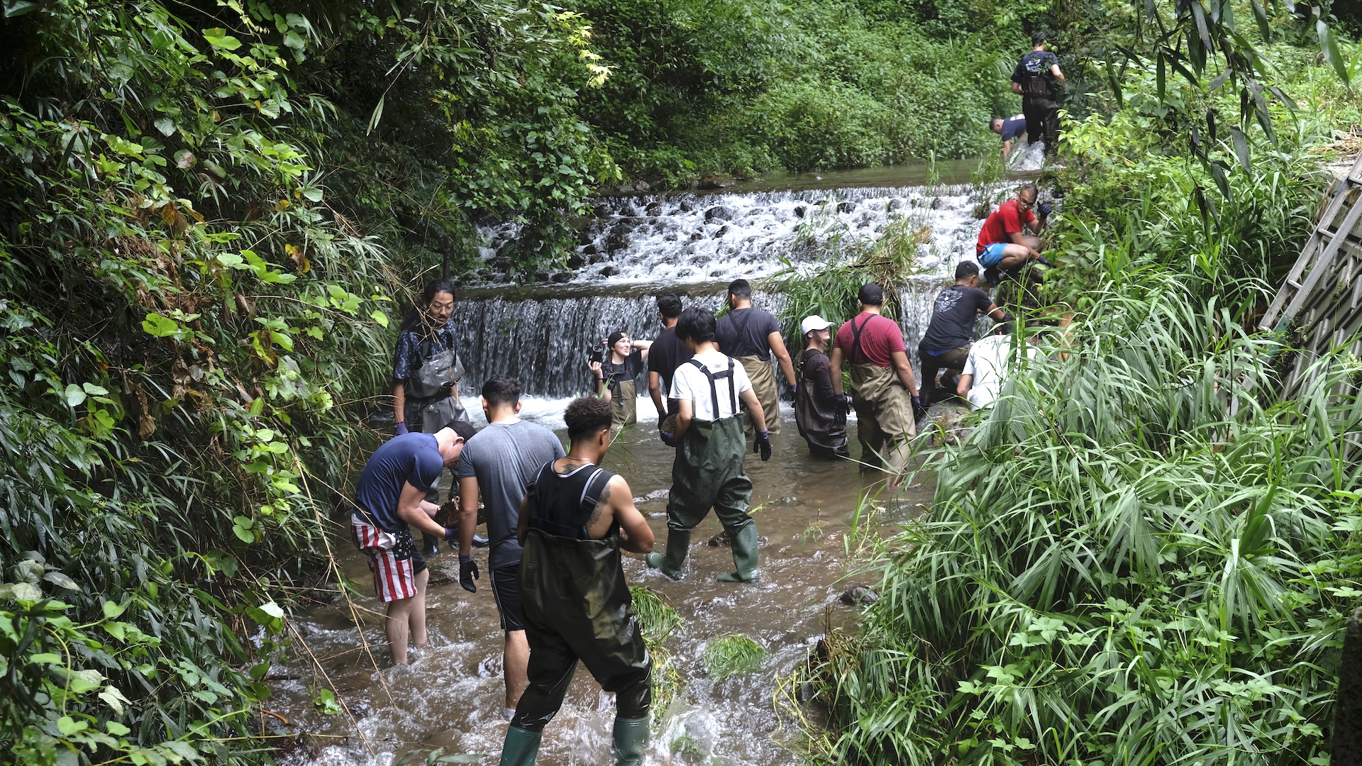 La costruzione di una rampa per la salamandra gigante giapponese