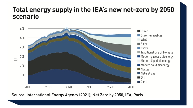 report dell'ira sulle energie rinnovabili entro 2030