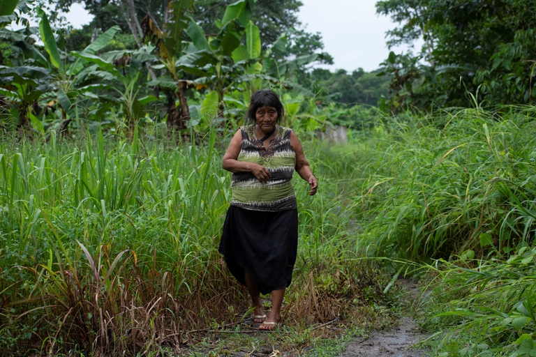 Yuqui woman walking through grass in the community of Bia Recuaté.