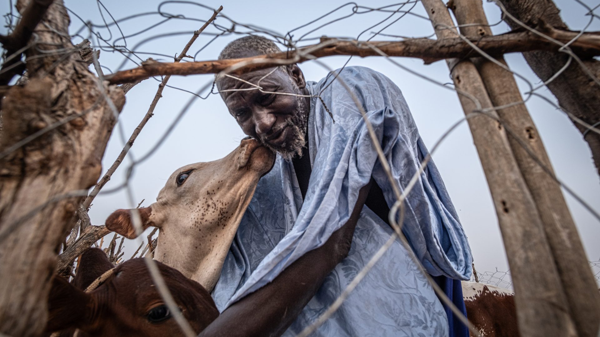 LongForm Sen Mau LifeGate-17