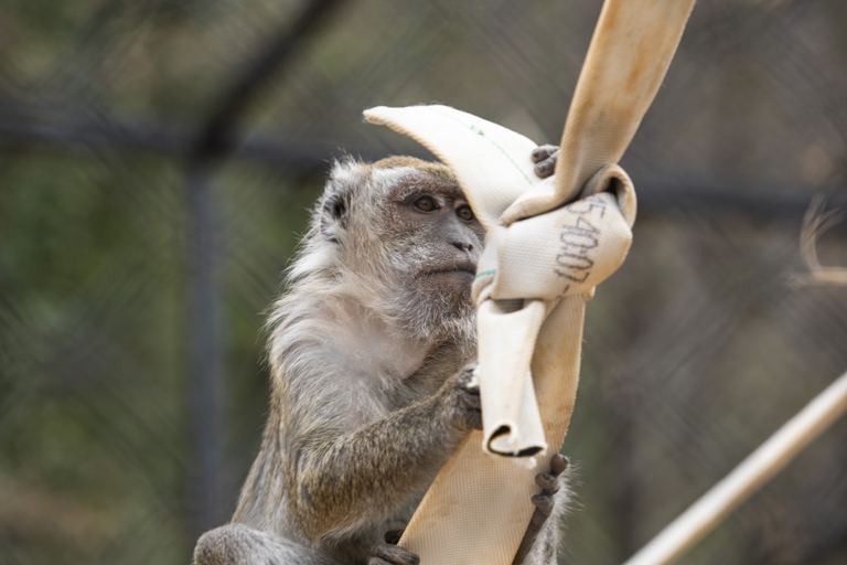 L’Italia è l’unico paese in tutta Europa ad aver avviato un progetto simile 