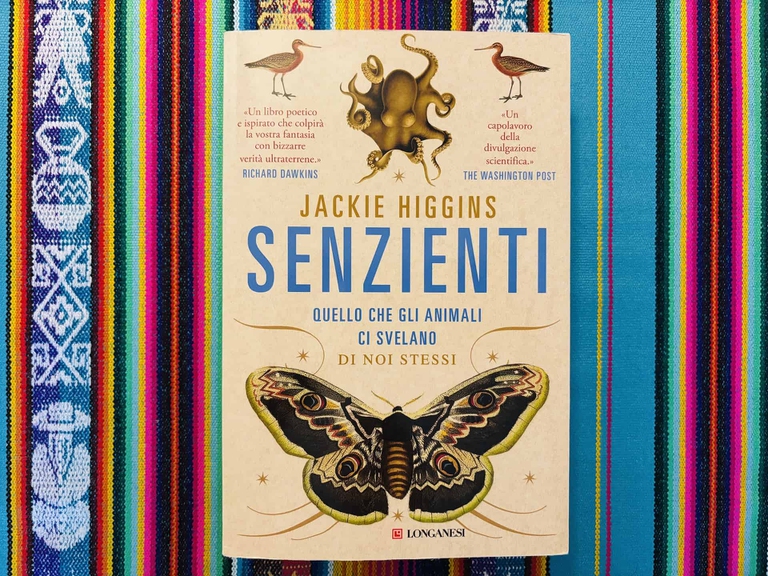 Senzienti Jackie Higgins