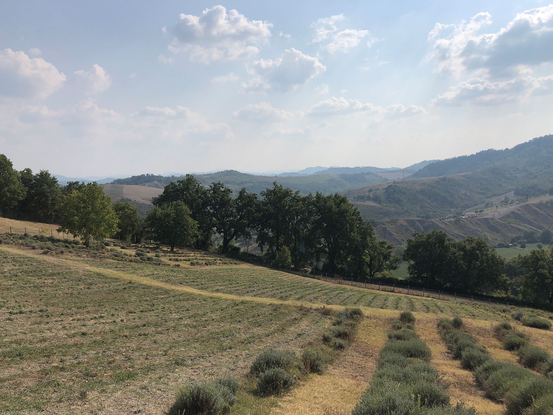 Ortofficina Oway sui colli bolognesi