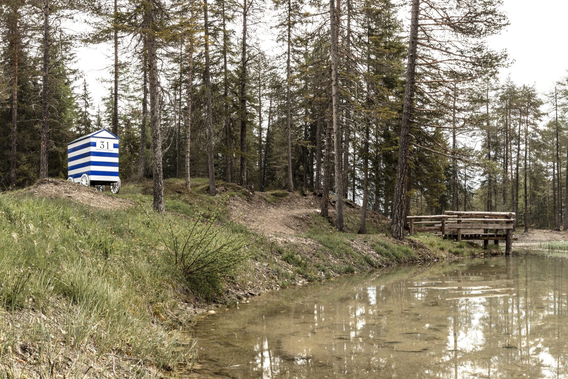 4593 GIACOMO-SAVIO_GW