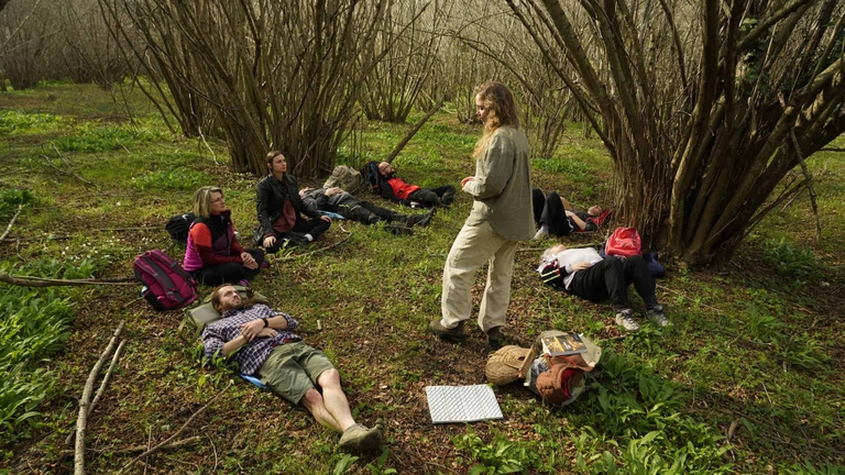 sessione di forest bathing