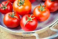 Versi buoni da mangiare per la Giornata della poesia
