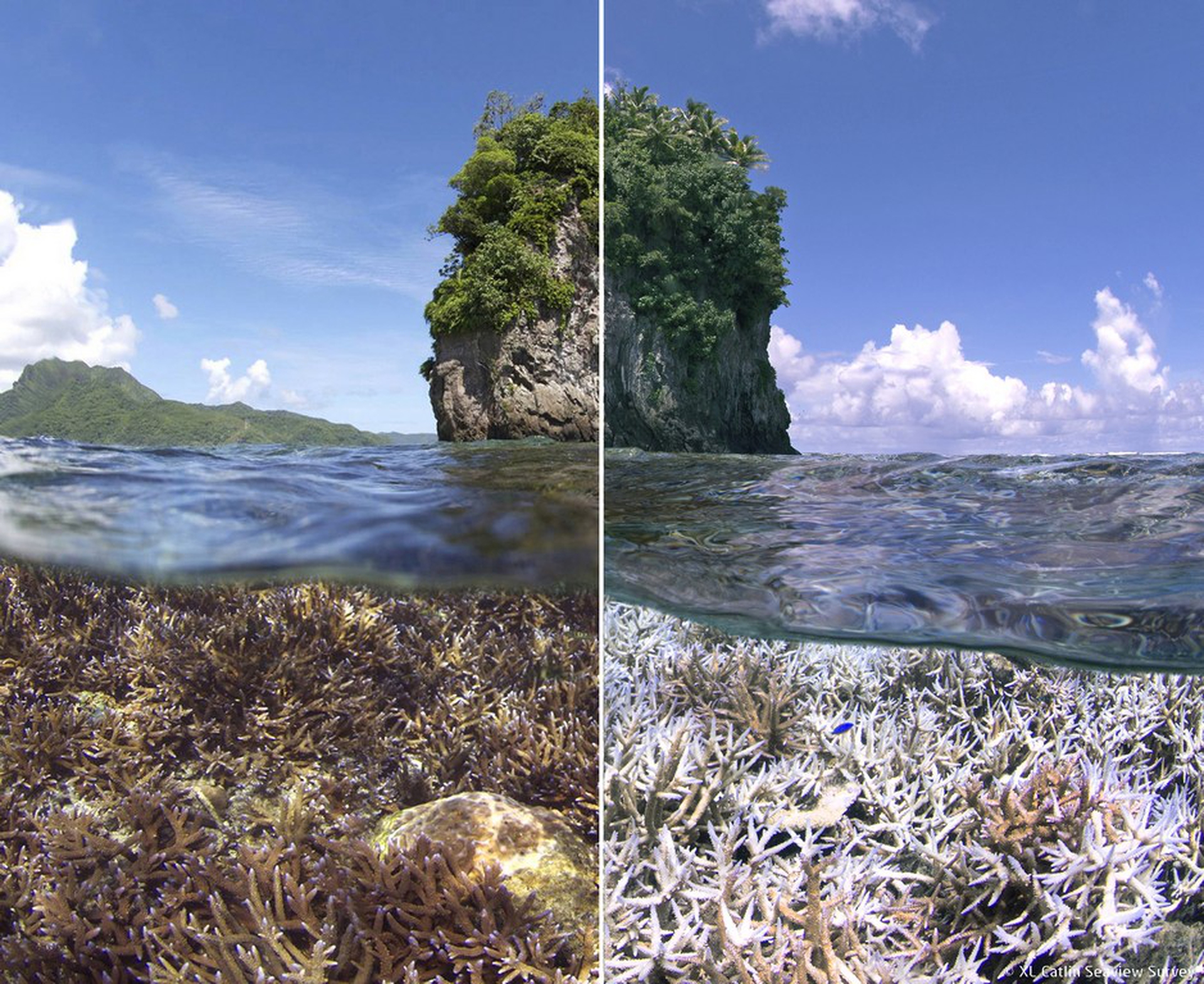 American Samoa - Chasing Coral