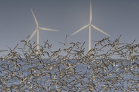 The dark side of marine renewable energy developments