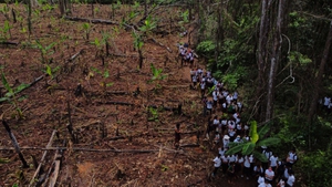 school children visit educational forest in the village of Batraja, Biolivia