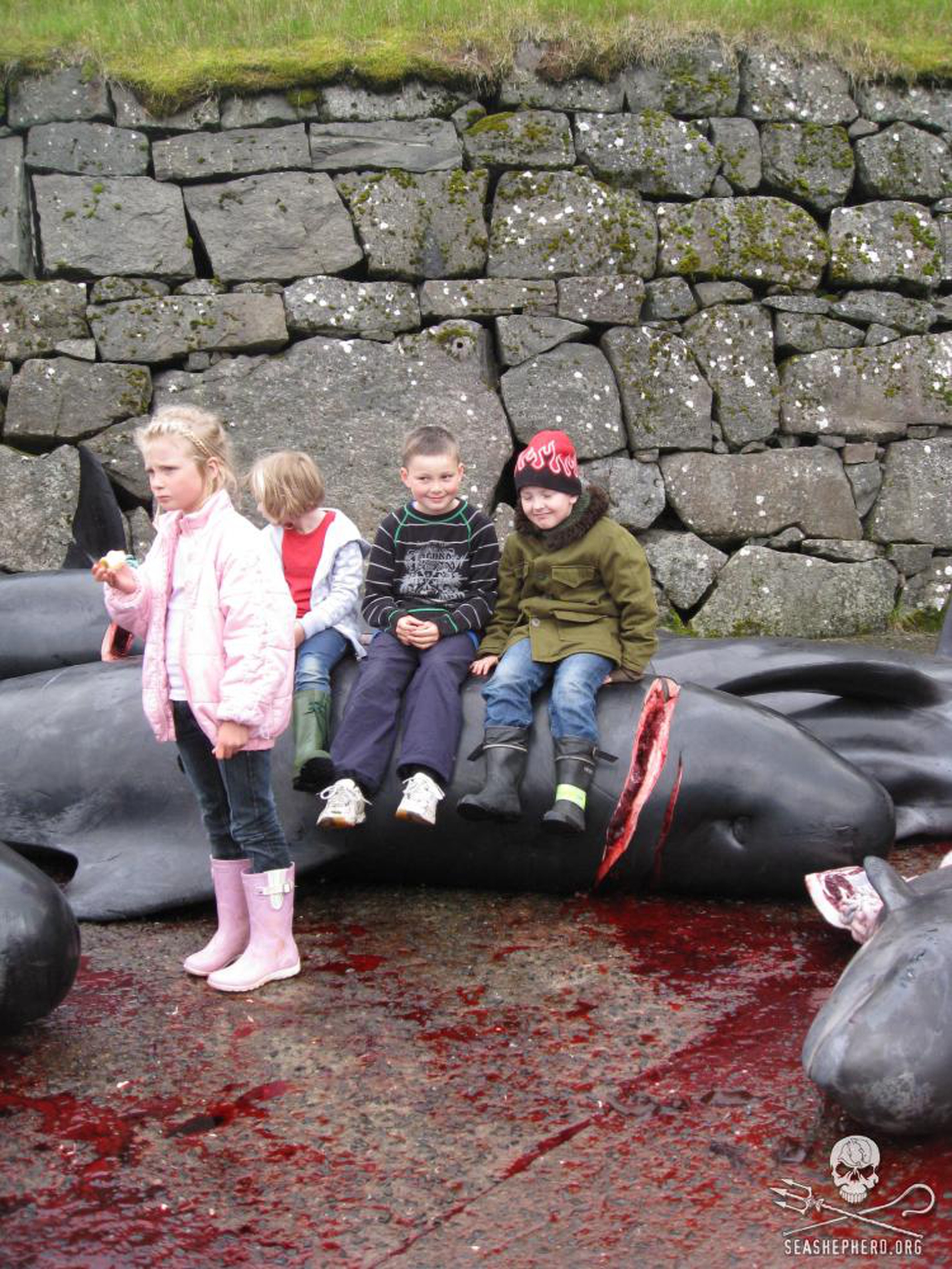 Grindstop 2014 - 6