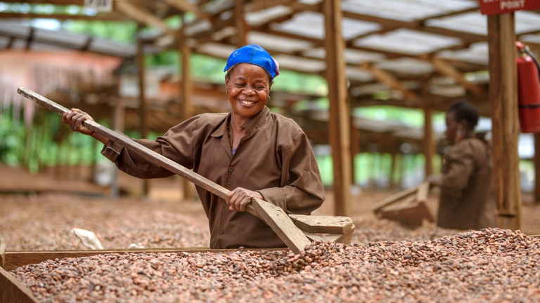 fave cacao donna, foodservice