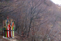 Al Parco del Sojo tra streghe, arte e natura