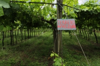 Pfas in Veneto, riprende il processo più importante sull’avvelenamento delle acque italiane