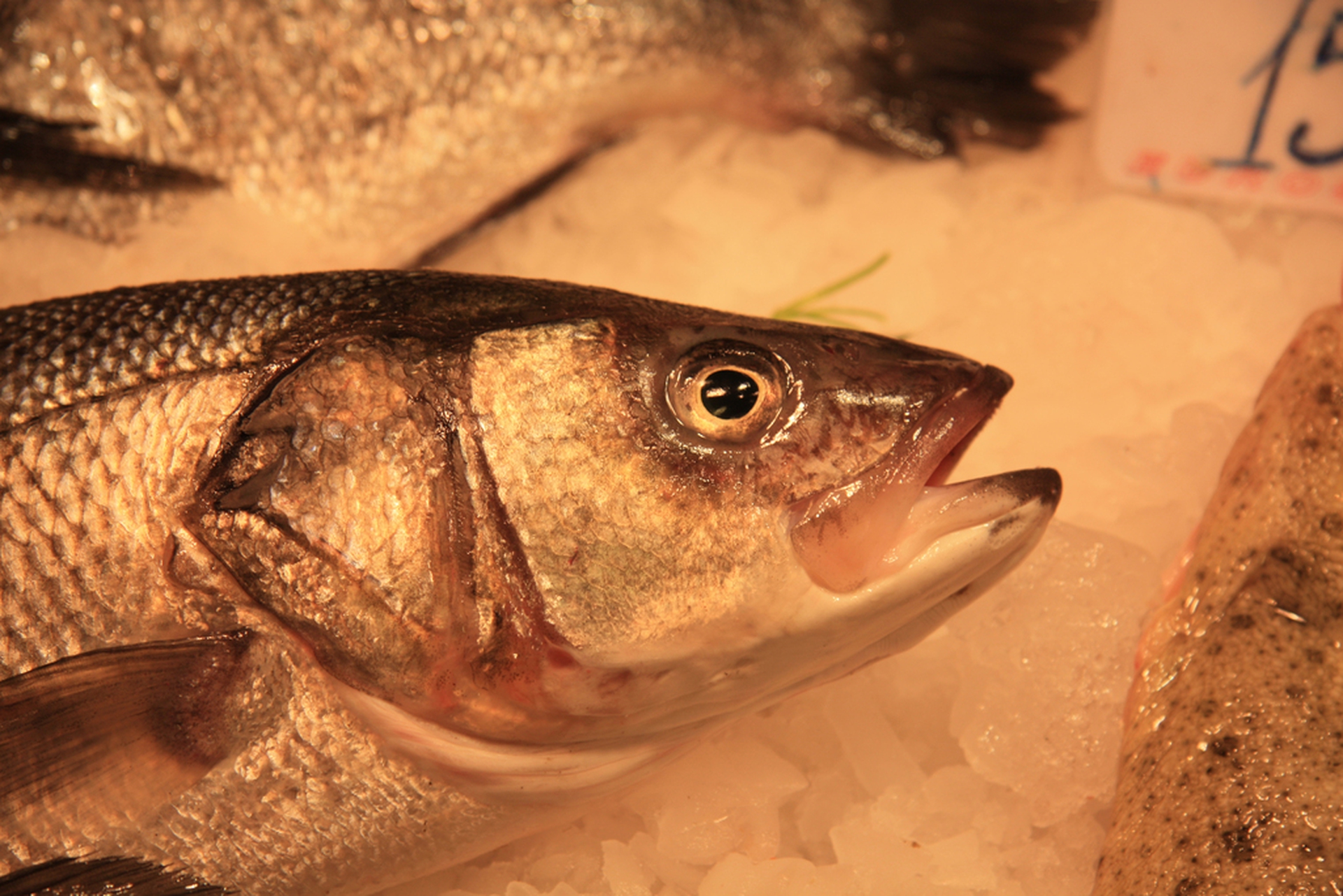 black listi coldiretti ©Ingimage