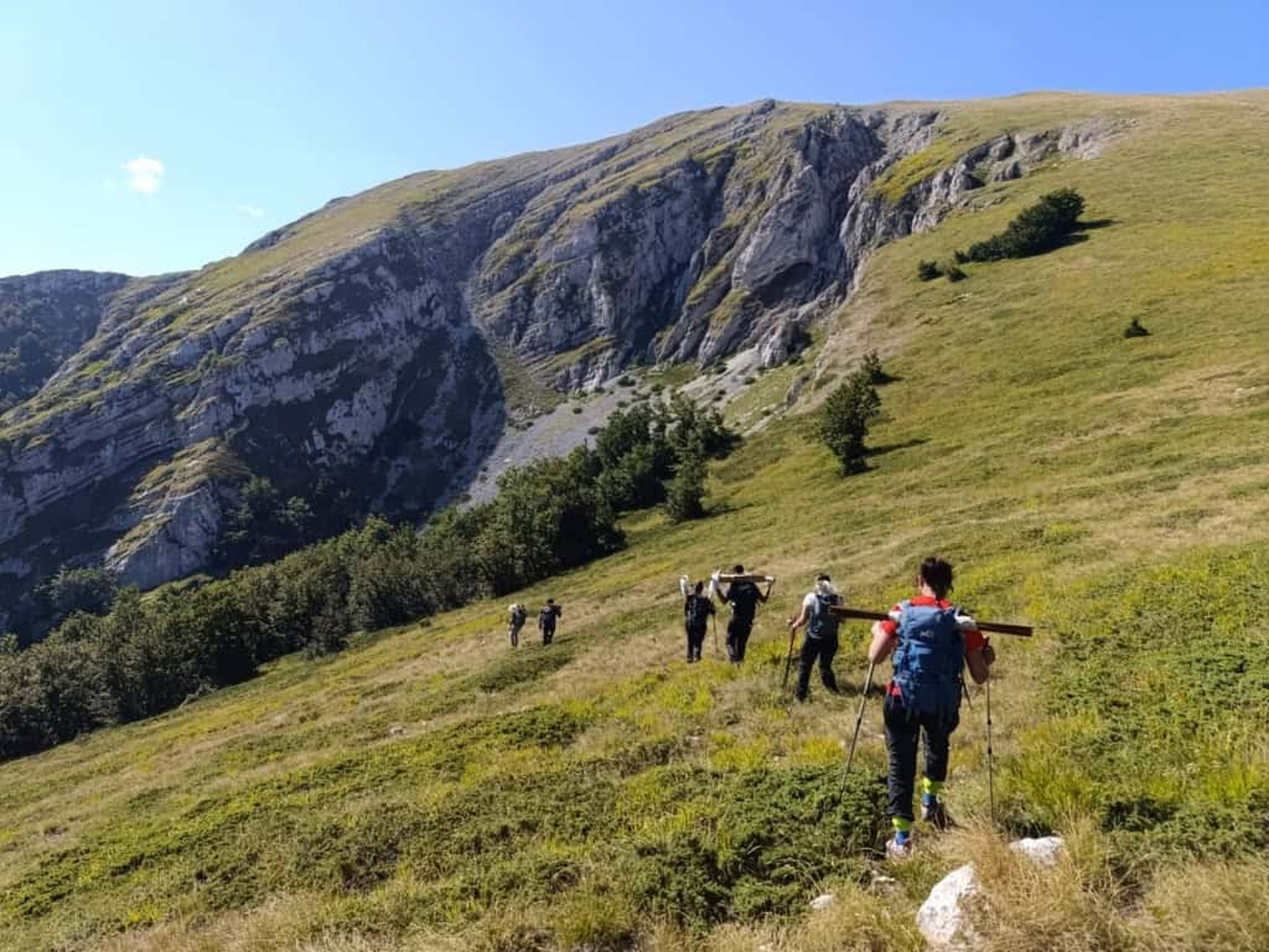 Nuova stima orso bruno marsicano