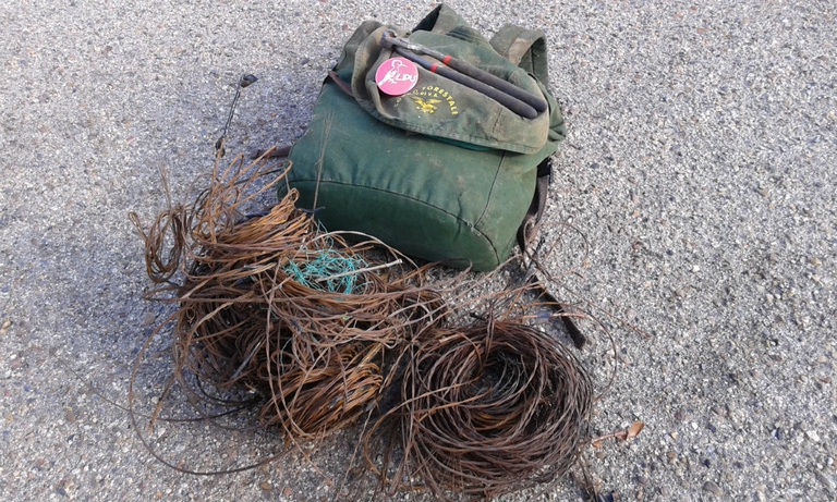 bracconaggio in italia