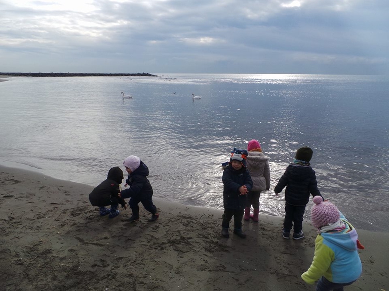 asilo del mare cigni bagnasciuga