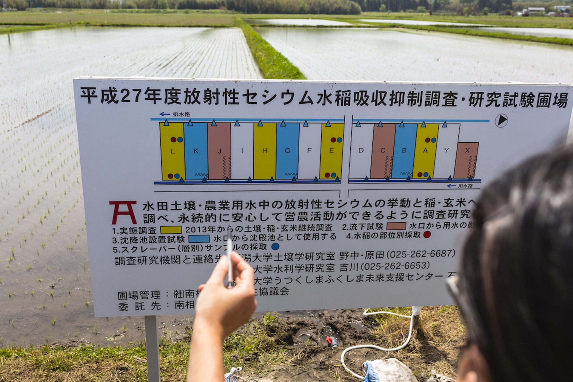 The people of Fukushima. A journey of renewal five years after the disaster