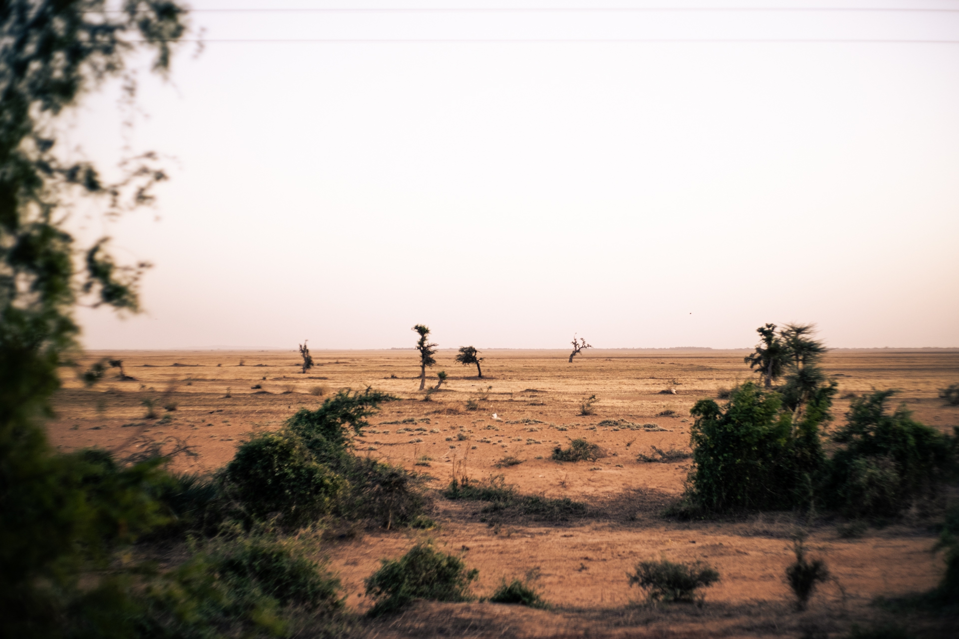 Desertificazione Mali