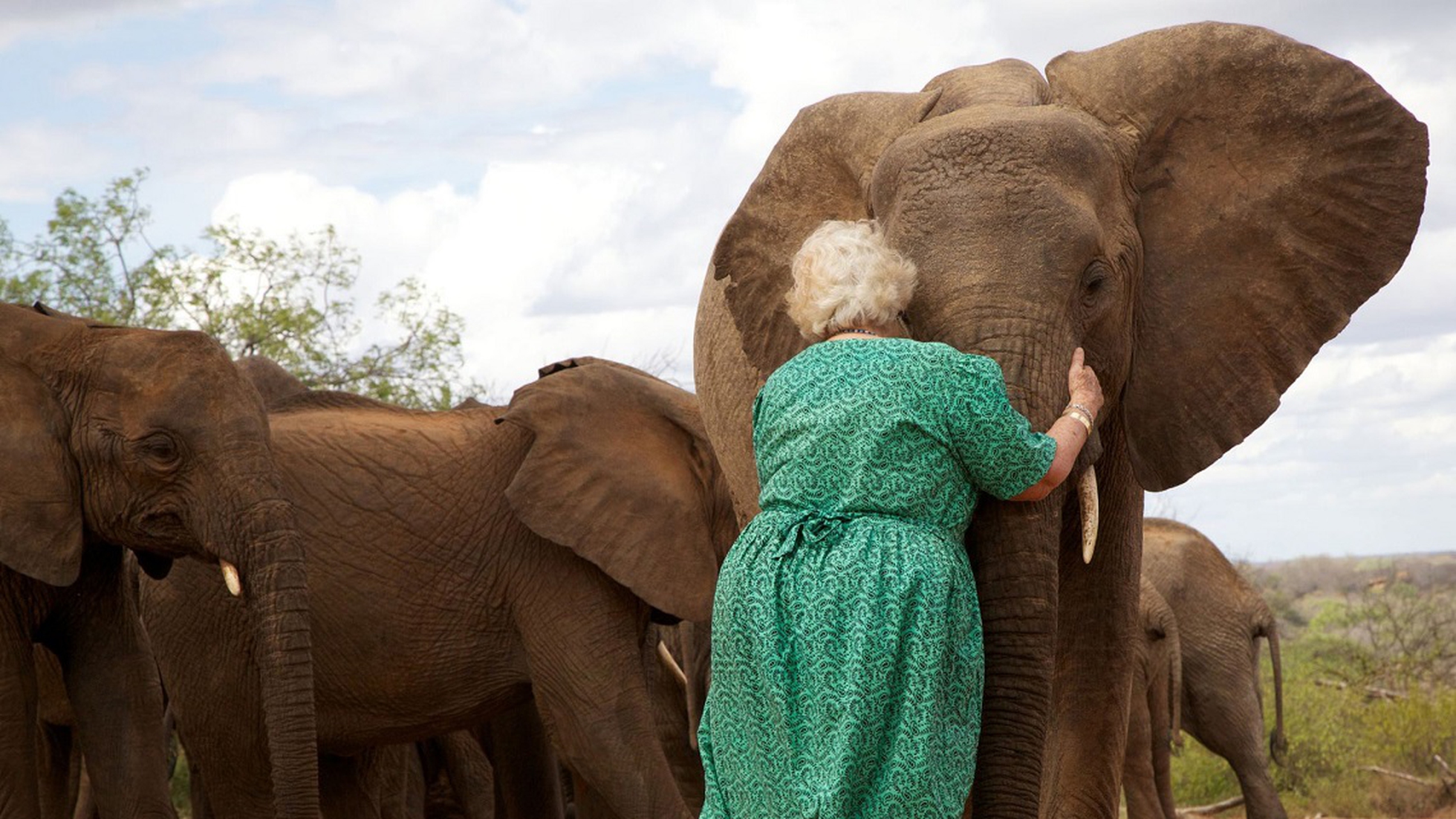 Elefante, leggenda del portafortuna - Donna di Fiori