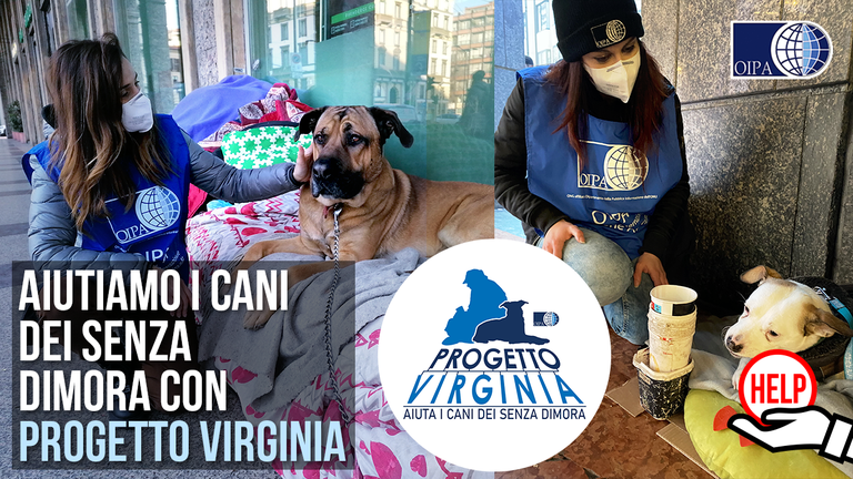 Progetto Virginia Oipa