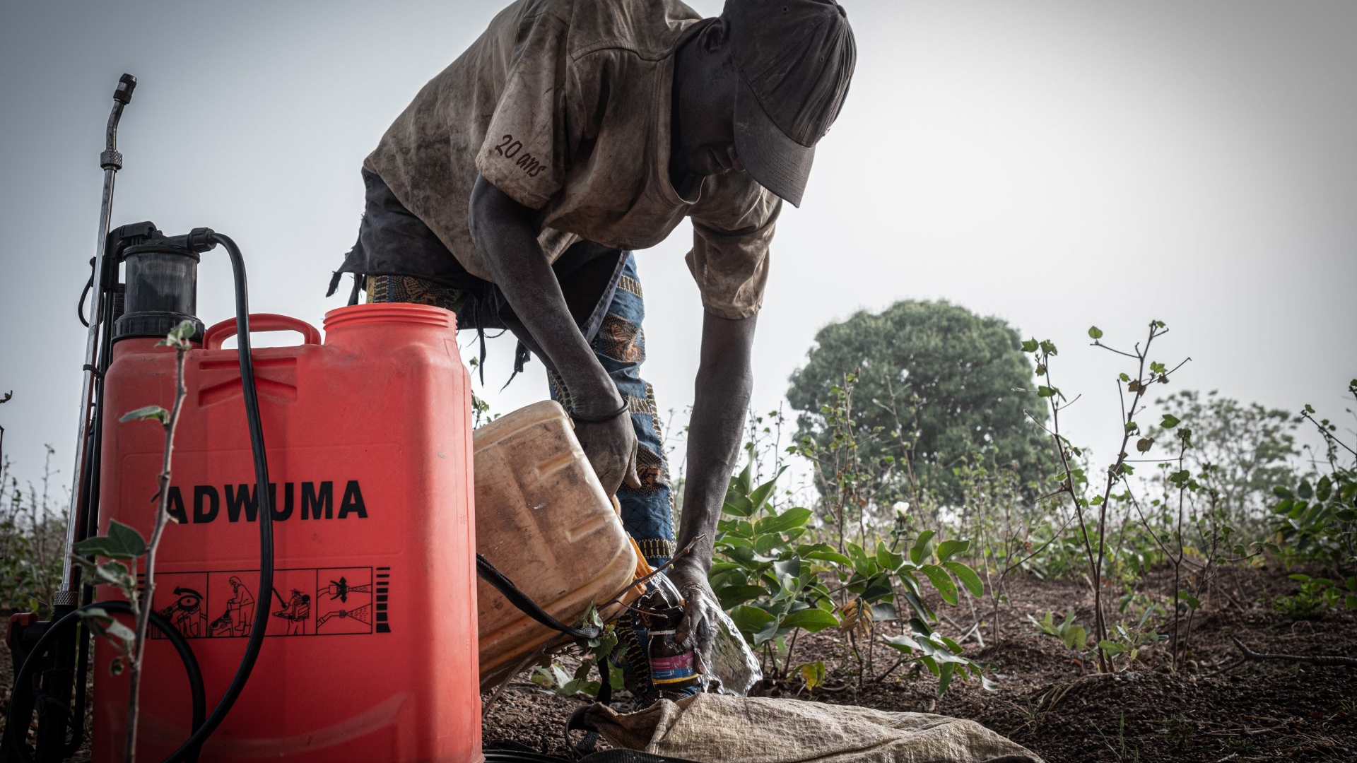 Christian Tchatignaka, un giovane agricoltore beninese