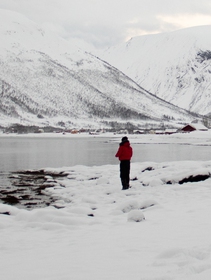 Midlatitude winter anomalies could become less predictable, study shows