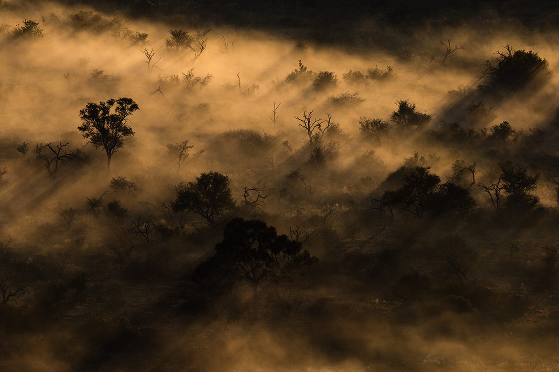 Terra, il nuovo documentario di Yann Arthus-Bertrand