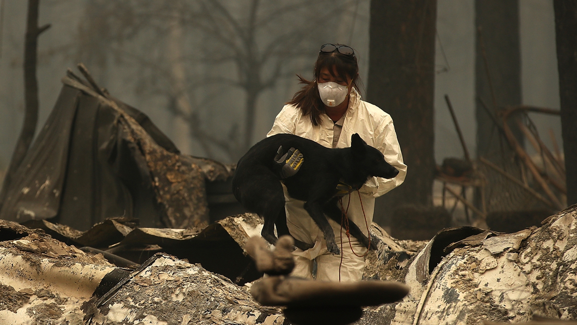 La città di Paradise in California