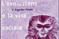 Esser scimmia – L’evoluzione e la vita sociale