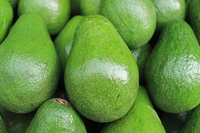 Consommè all’avocado