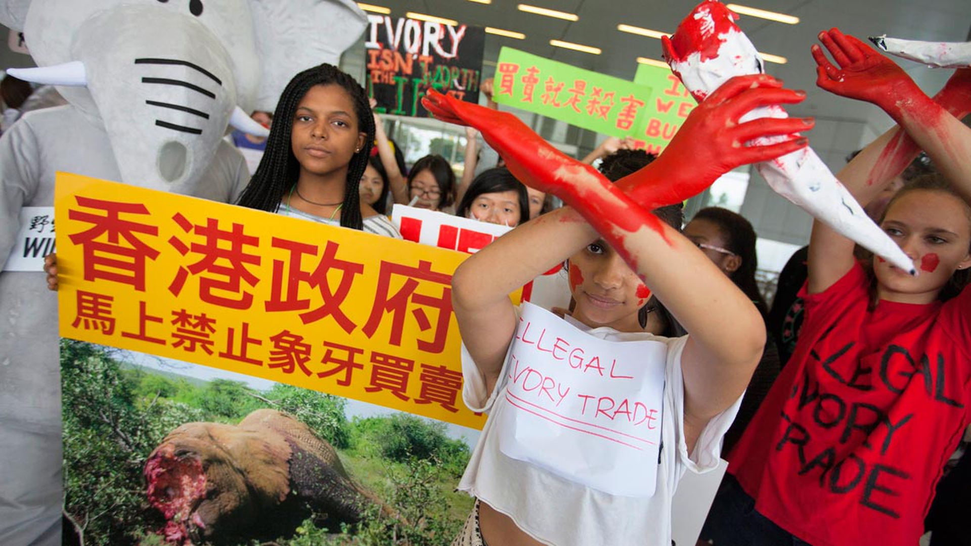 manifestazione-hong-kong-contro-avorio