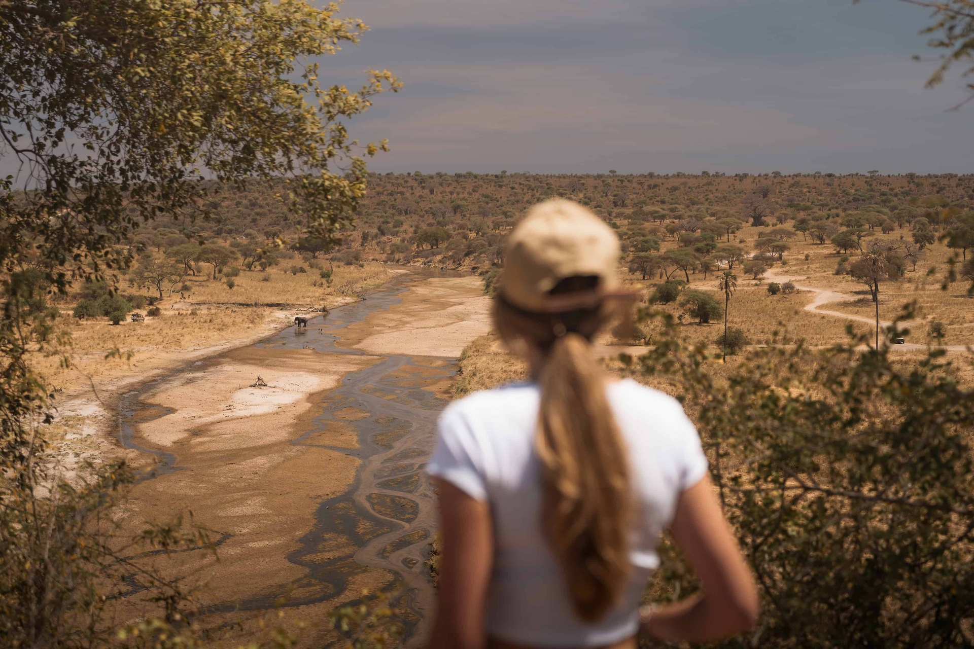 Safari nel Parco del Tarangire