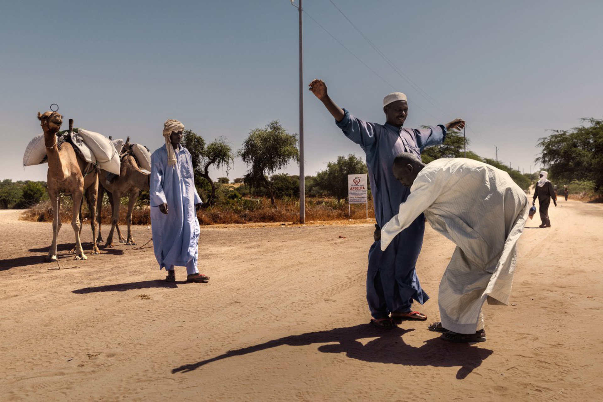 La crisi del lago Ciad, Marco Gualazzini