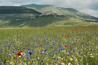 Lunga marcia nelle terre mutate, il trekking solidale nei territori del centro Italia colpiti dai terremoti