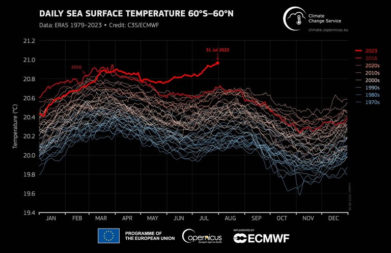 anomalia mari temperatura