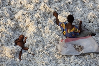 L’Africa vista dal cielo negli scatti di Yann Arthus-Bertrand per Amani