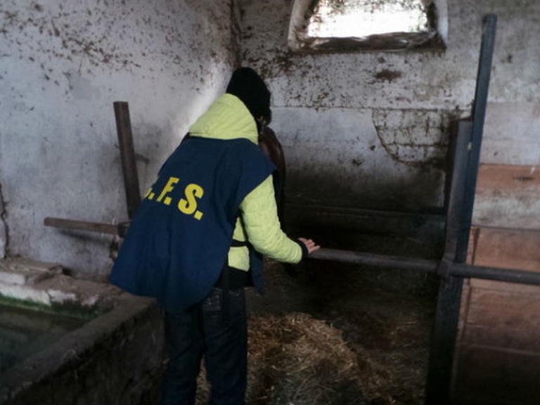 resized-20141027_073637