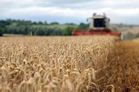 Gli agricoltori inglesi saranno pagati per la tutela del suolo