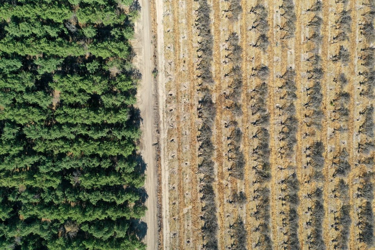 Acqua, clima e guerre. Sempre più conflitti riguardano l’accesso alle risorse idriche