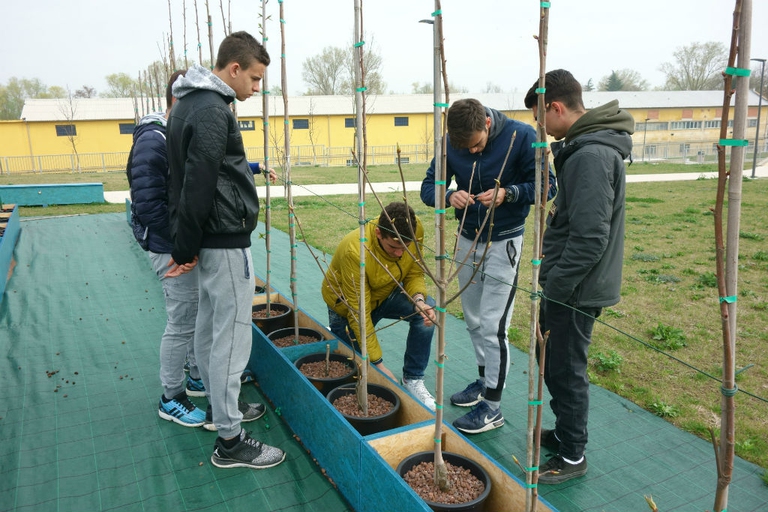 immagini per la terra