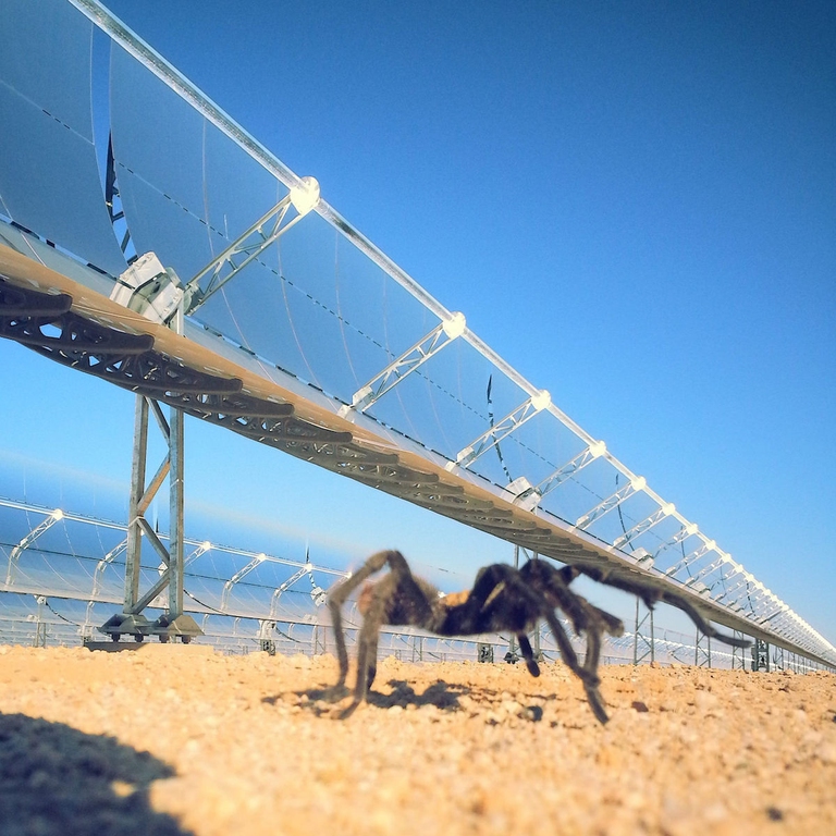 solare termodinamico