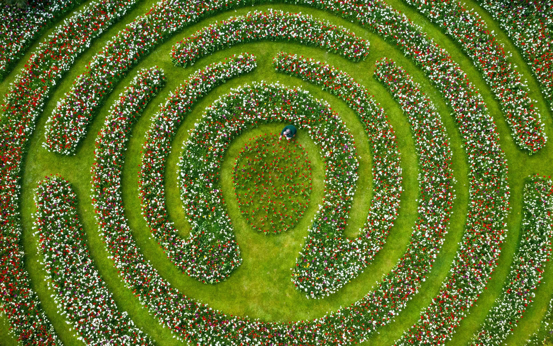 Bppa press photographer of the year